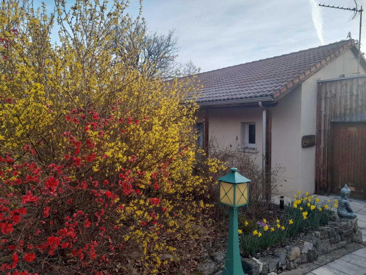 Hotel De L'Ile D'Amour Langeac Buitenkant foto